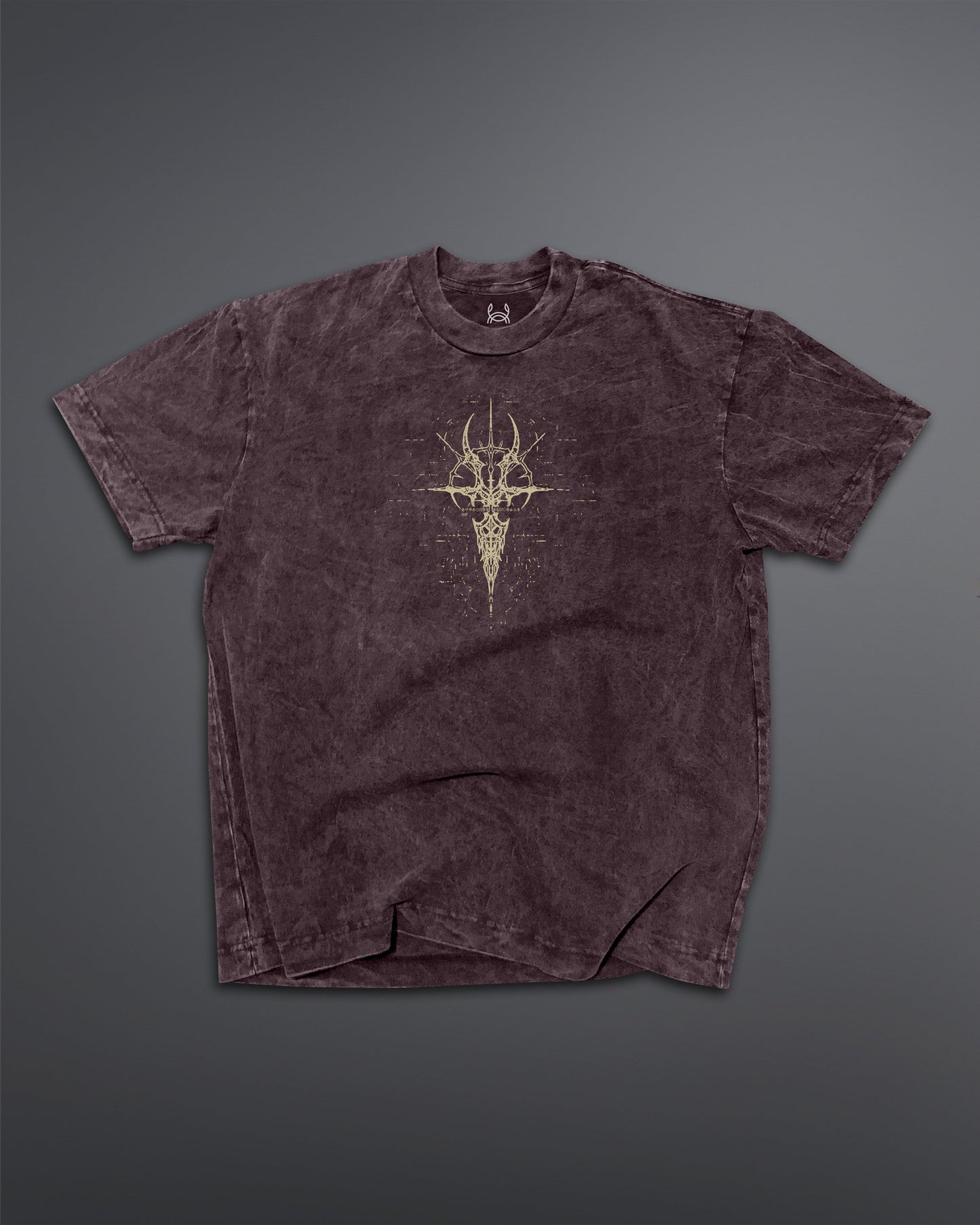 Crypted Glyph Oversized tee [ACID WASHED-BLOODSTONE]