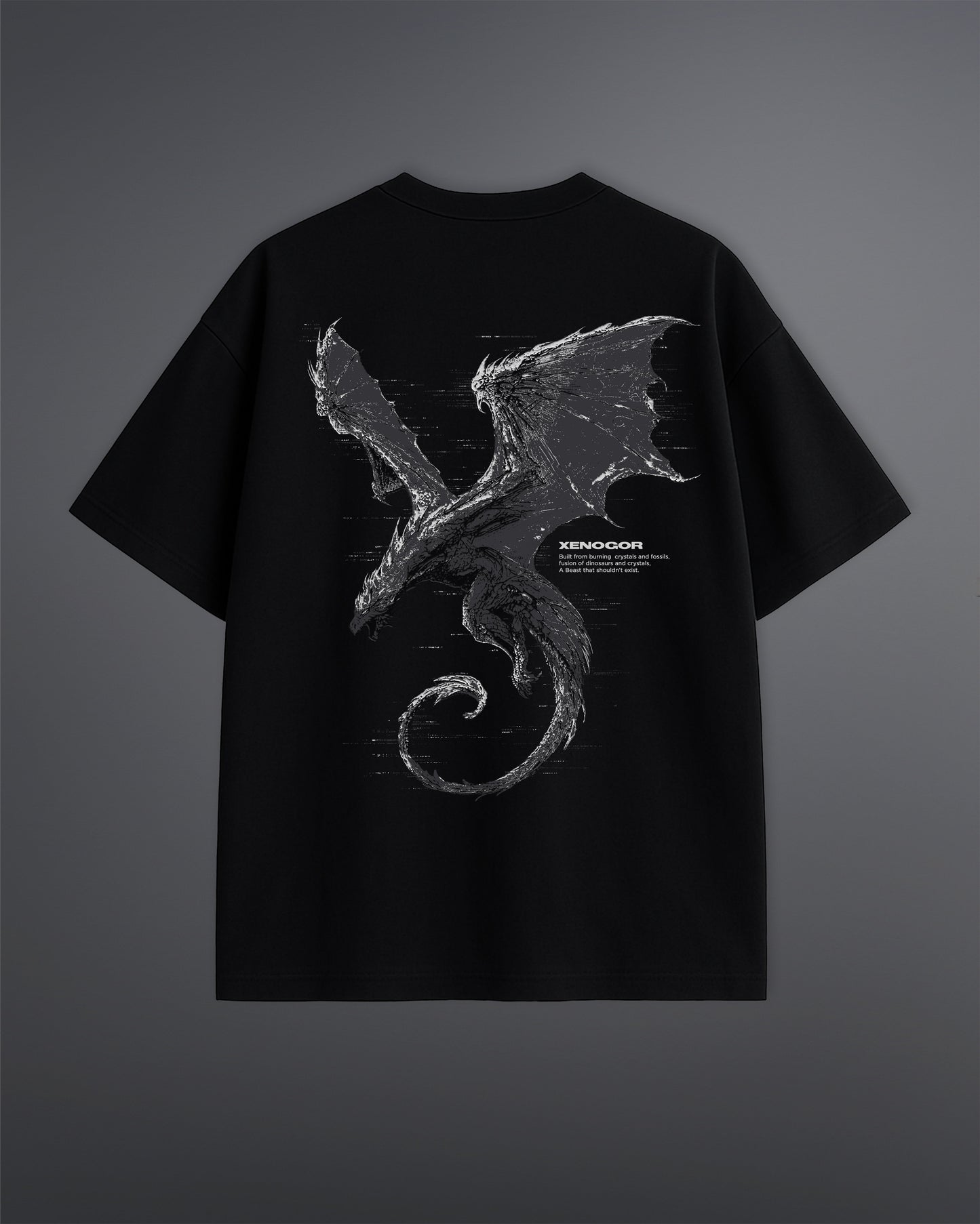 Xenogor Oversized Tee [ASHEN CRYST-COLORWAY]
